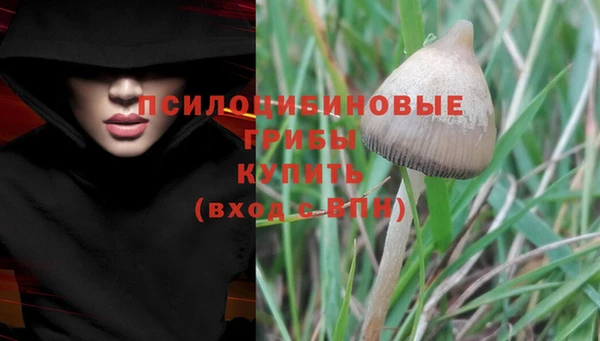 ешки Волосово
