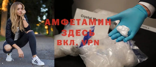 индика Волоколамск