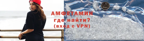 индика Волоколамск