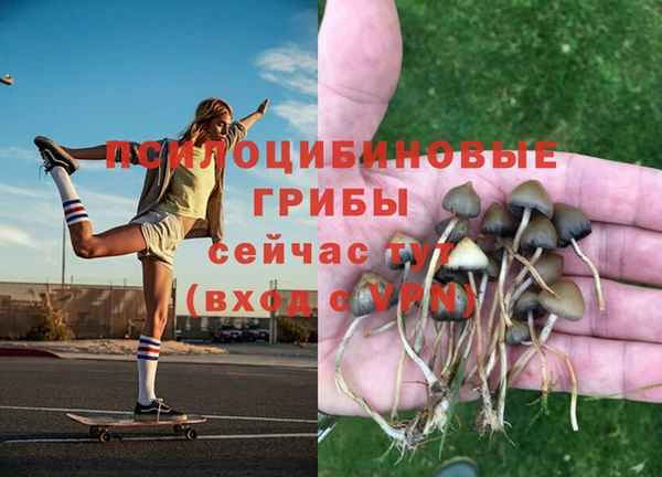 кокаин VHQ Горнозаводск