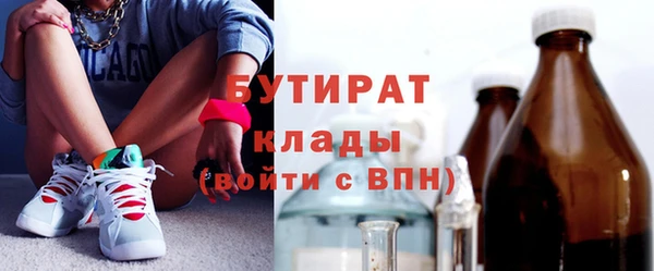 прущие грибы Болотное