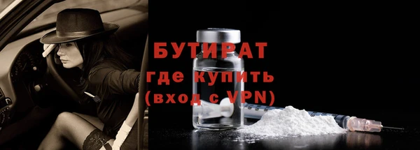 прущие грибы Болотное