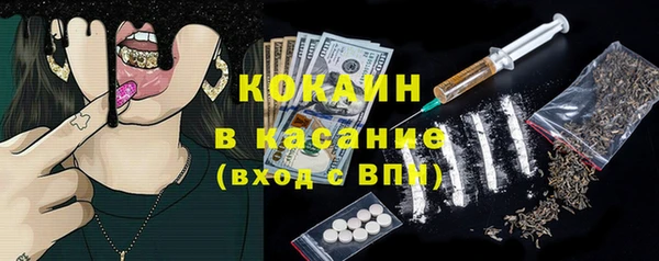 прущие грибы Болотное