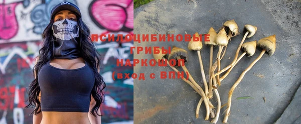 твердый Горно-Алтайск
